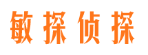 西盟市侦探公司